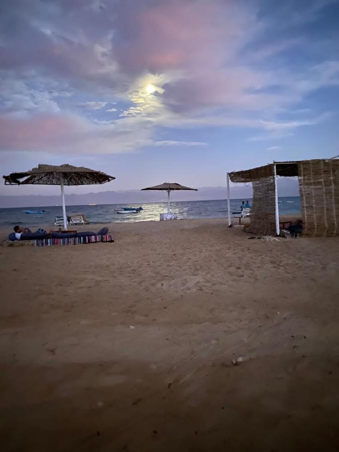 Nuweiba Oasis Hotel Bagian luar foto