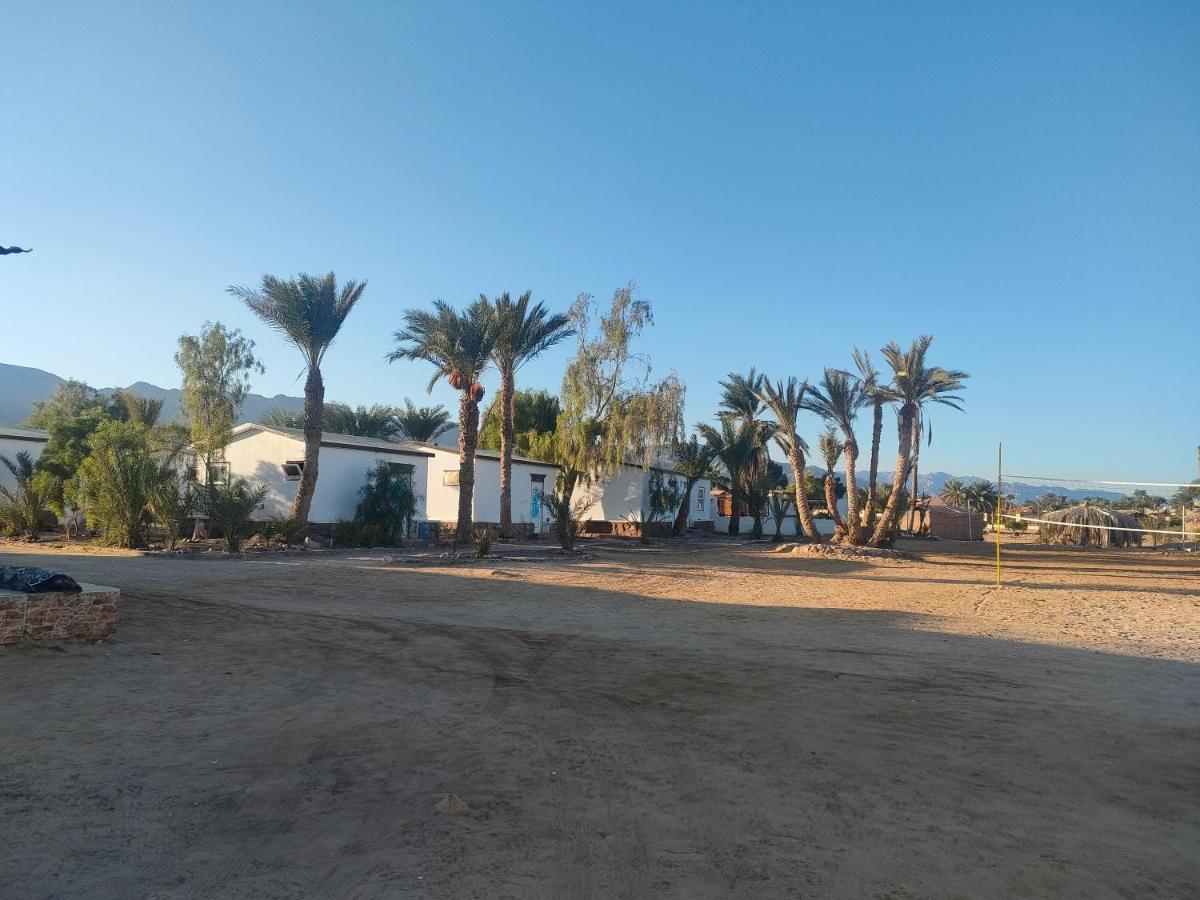 Nuweiba Oasis Hotel Bagian luar foto