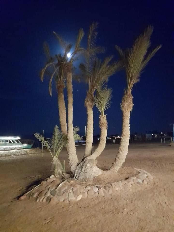 Nuweiba Oasis Hotel Bagian luar foto